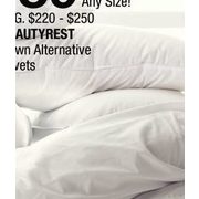 Beautyrest Down Alternative Duvets  - $89.00 (Up to 60% off)
