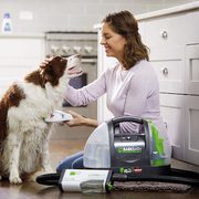 Amazon.ca Deal of the Day: Bissell BARKBATH Portable Dog Bath and Grooming System $99.99 (regularly $219.99)