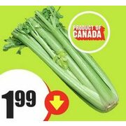 Celery  - $1.99