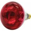 Canarm 250W Infrared Brooder Bulbs