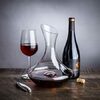 Sommelier Wine Carafe "Captain" - $18.74 (25% off)