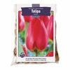 Bulbs Easy Spring Bubls   - $9.99 (20% off)